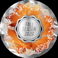 Projeto Fall Season 2020 - Prata